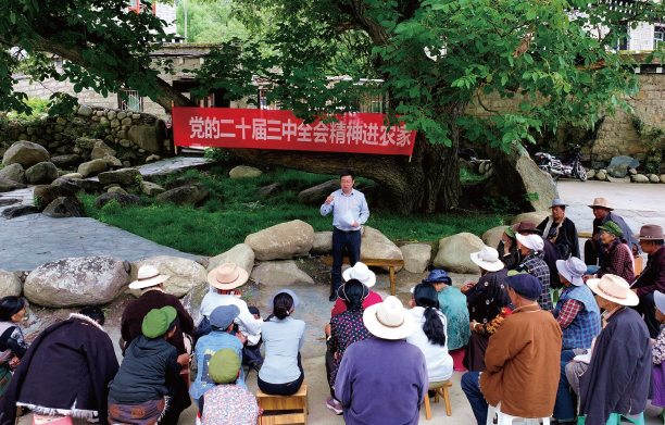 2024年7月23日,在四川省甘孜州稻城縣香格里拉鎮(zhèn)熱光村的百年核桃樹下,瀘州幫扶 稻城工作隊(duì)領(lǐng)隊(duì)向當(dāng)?shù)厝罕娦v黨的二十屆三中全會(huì)精神。