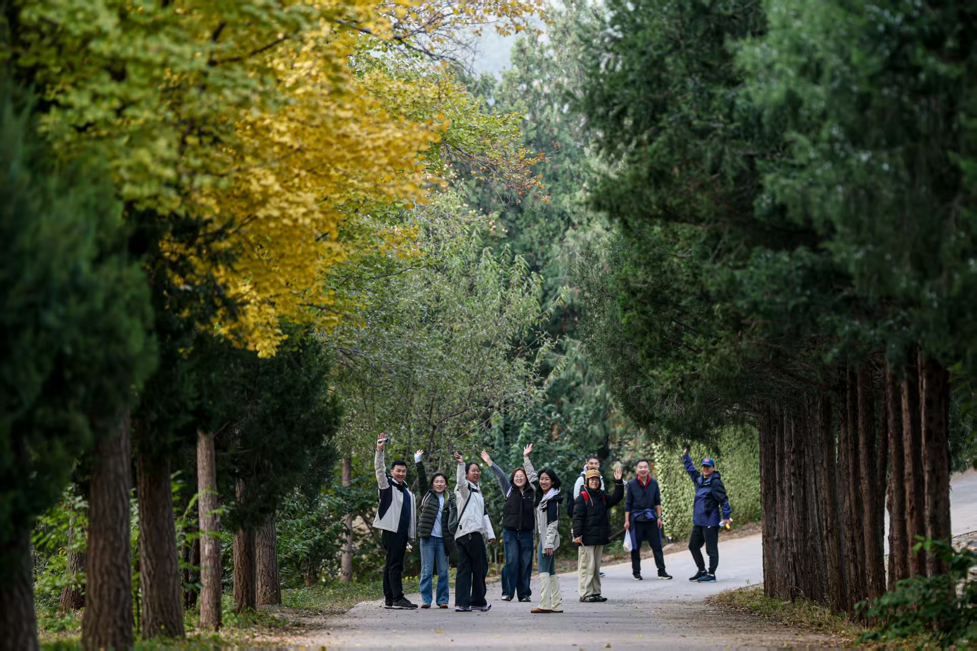 10月31日，國家體育總局在北京西山國家森林公園舉辦2025年秋季登高活動。