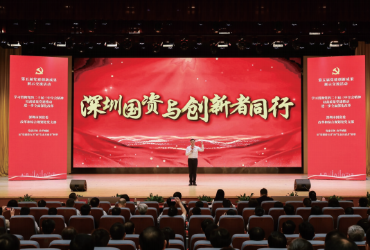 深圳市國資委改革和綜合規(guī)劃處黨支部